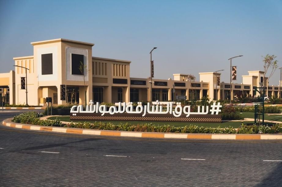"سوق الشارقة للمواشي" يعلن جاهزيته الكاملة لاستقبال عيد الأضحى