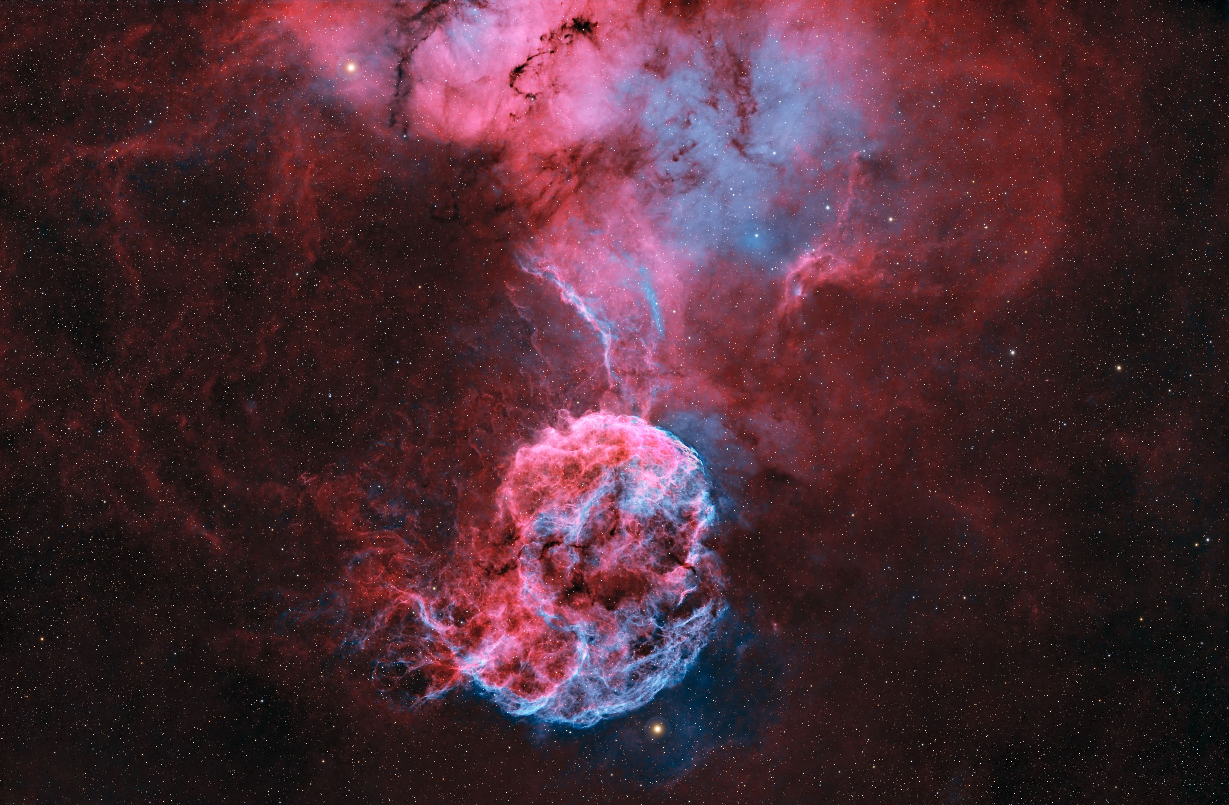 "مرصد الختم الفلكي" ينجح في تصوير سديم "قنديل البحر"