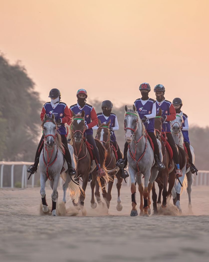 كأس صاحب السمو رئيس الدولة للقدرة تنطلق غدا بسباق "الإسطبلات الخاصة"