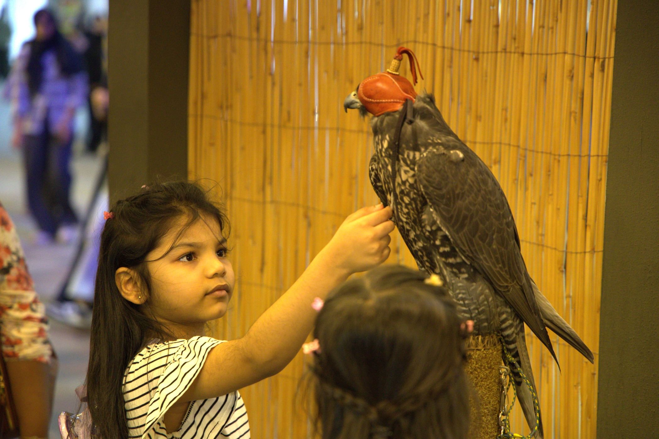 "مهرجان الشيخ زايد" منصة للاحتفاء بالتراث الوطني وثقافات العالم