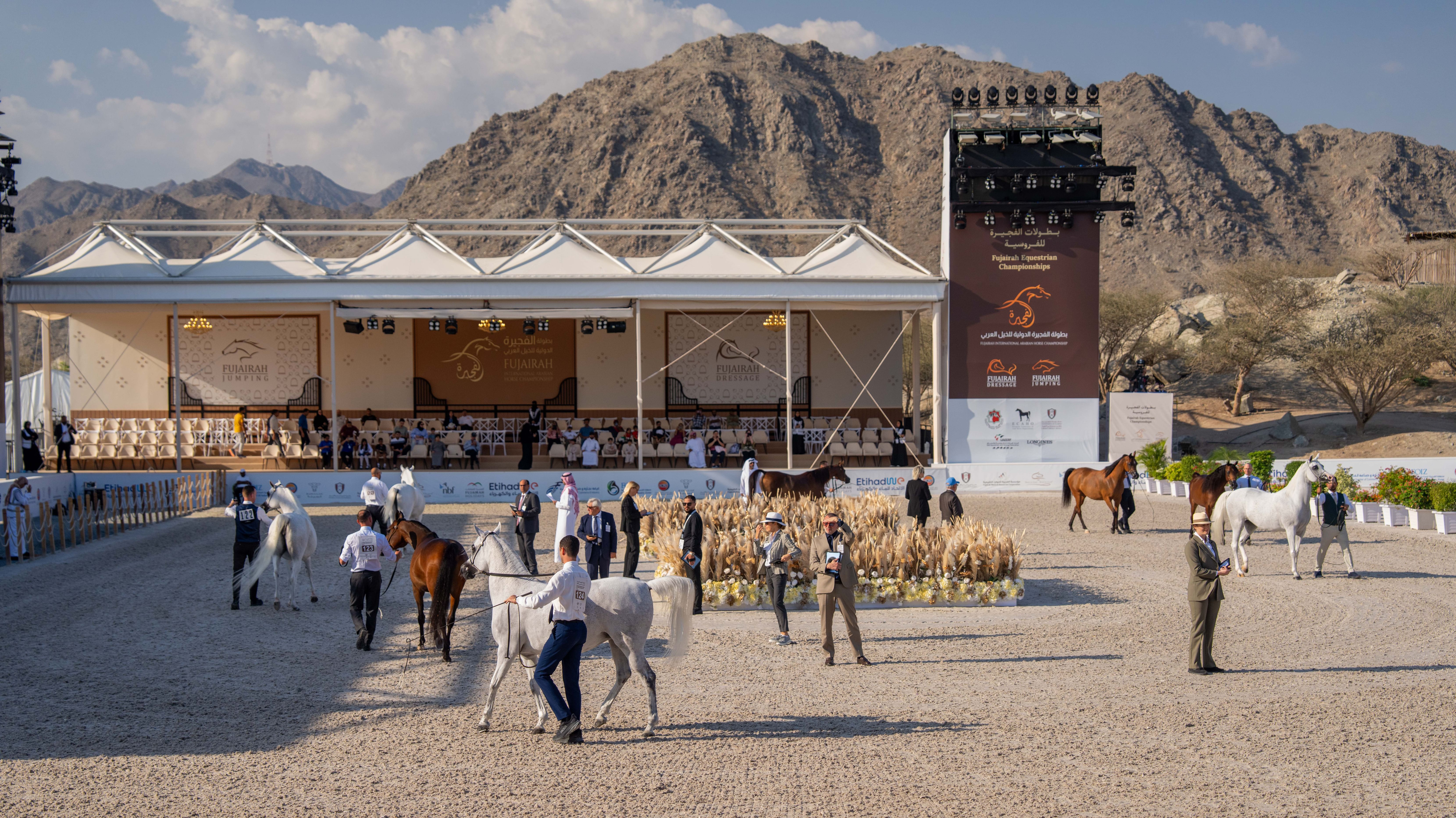 بطولة الفجيرة الدولية للخيل العربي ترفع وتيرة التنافس في يومها الثاني