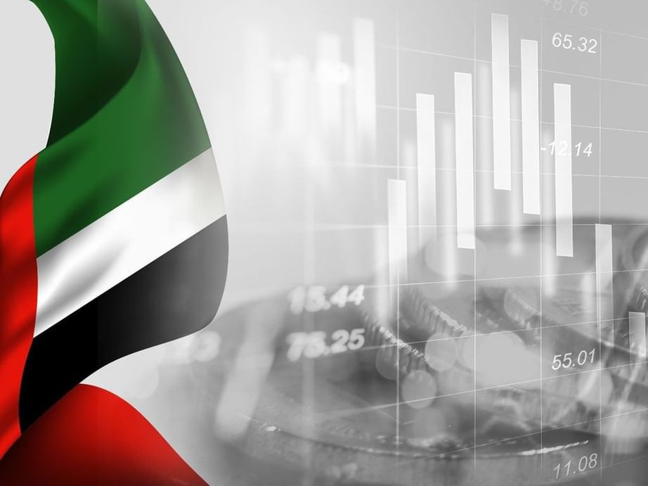 "المالية الإسلامية" وصناعة الحلال في الإمارات  ..  آفاق واسعة للنمو وتنويع الاقتصاد الوطني