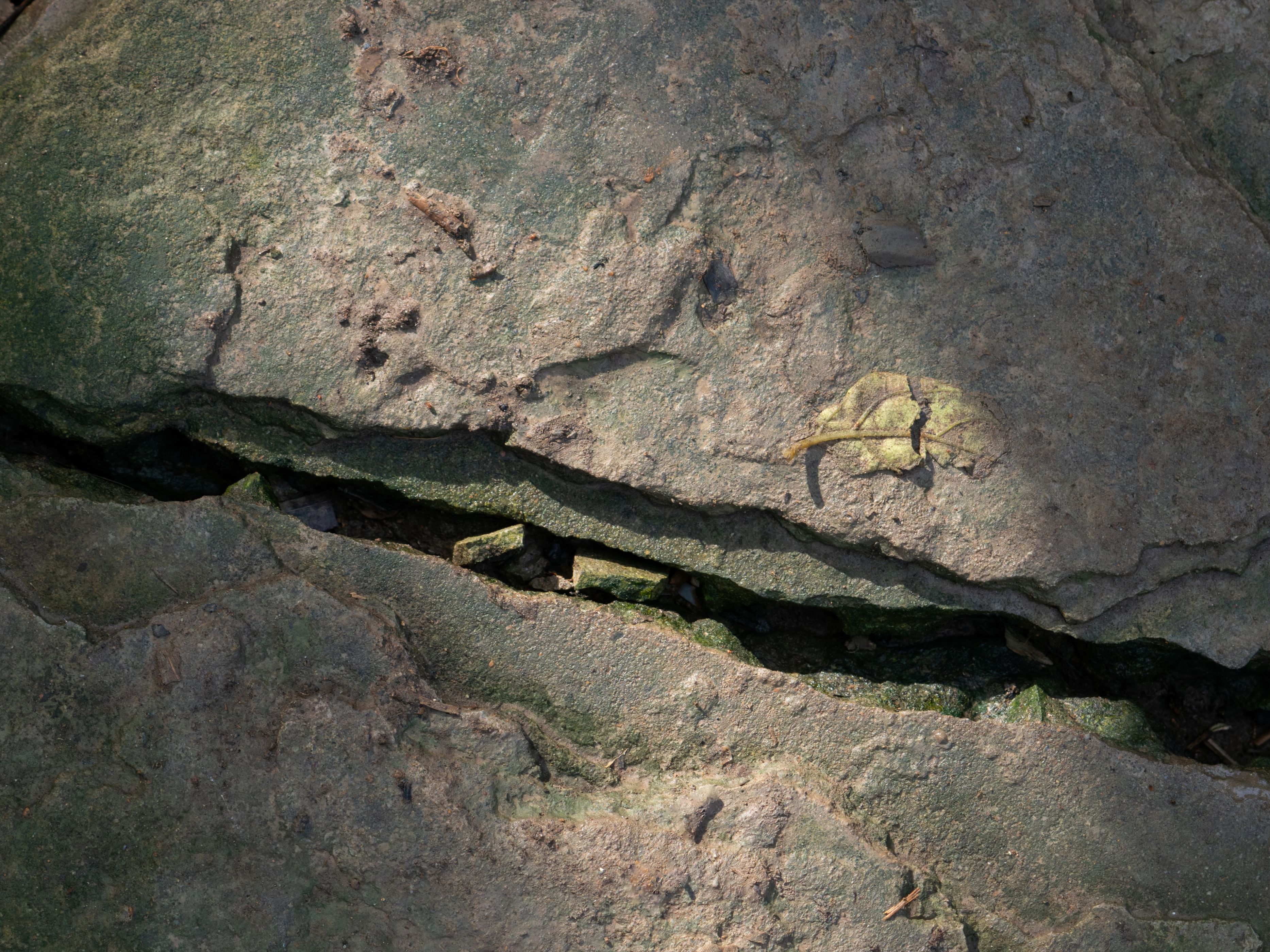 علماء يكتشفون أدلة على عملية انقسام جيولوجي بطيئة لقارة إفريقيا