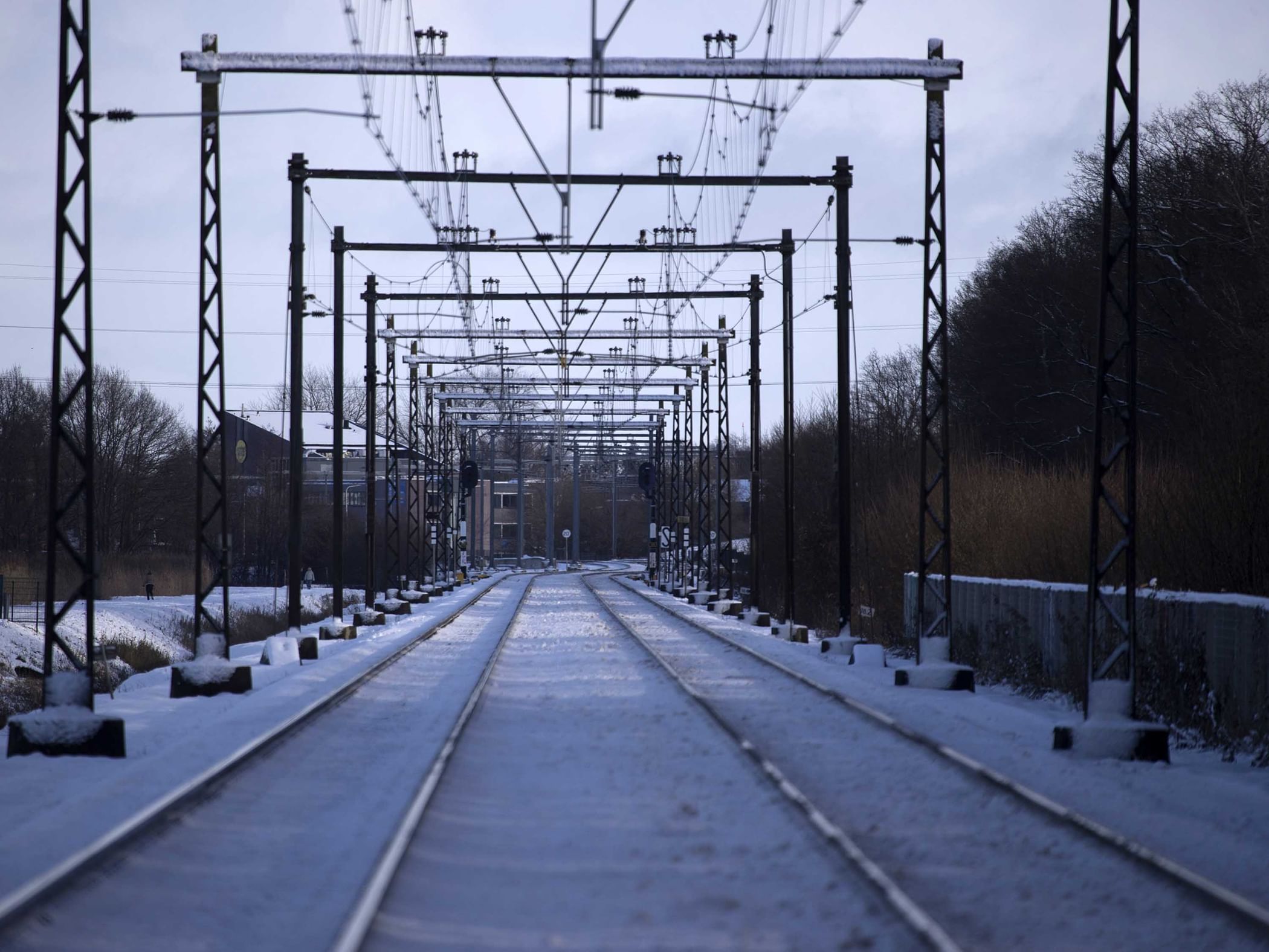 الثلوج تعرقل حركة القطارات في هولندا