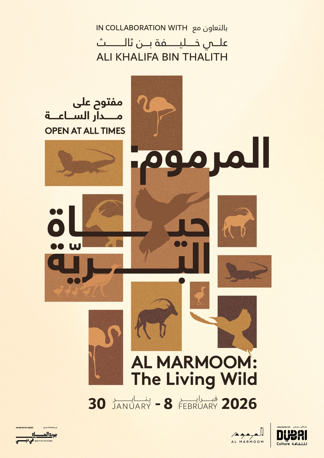 "دبي للثقافة" تطلق معرضا بيئيا فوتوغرافيا في محمية المرموم الصحراوية