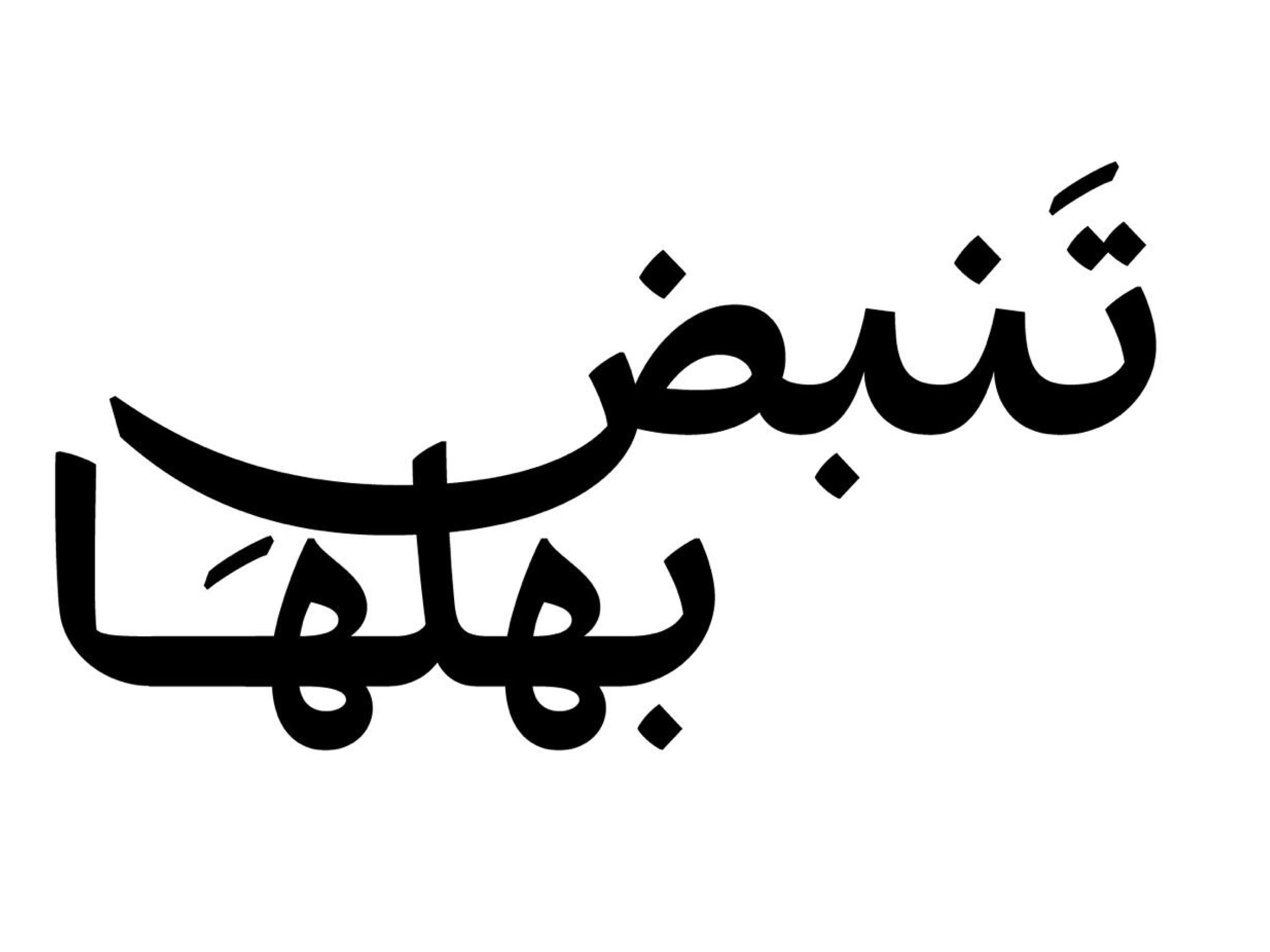 " دائرة تنمية المجتمع - أبوظبي" تطلق أولى محطات مبادرة "تنبض بأهلها" بمنطقة العامرة