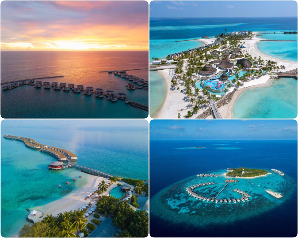 مجموعة فنادق ومنتجعات سينتارا تعلن عن عروضها المميزة لموسم الأعياد 