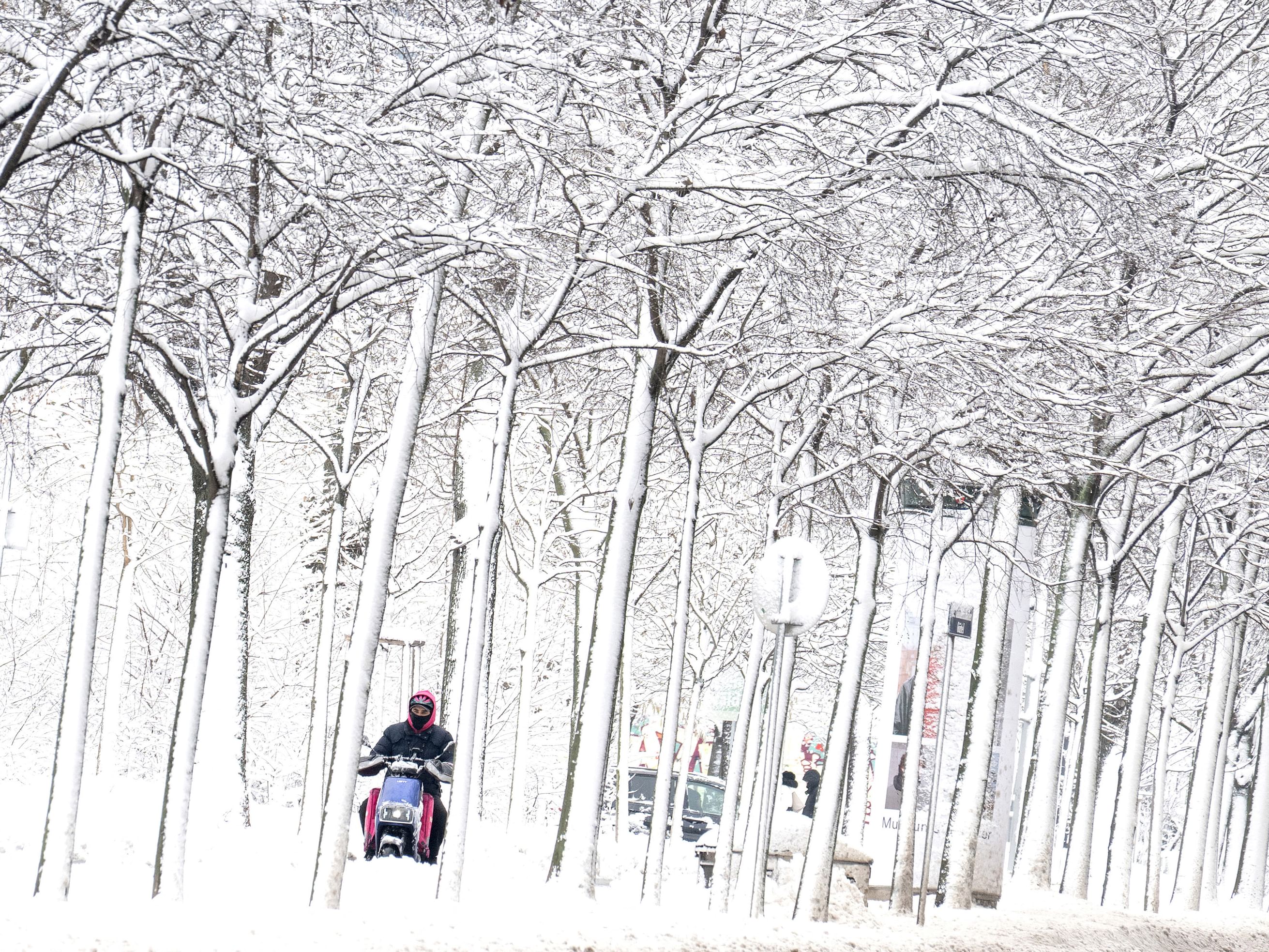 مقتل خمسة أشخاص في عاصفة ثلجية ضربت النمسا