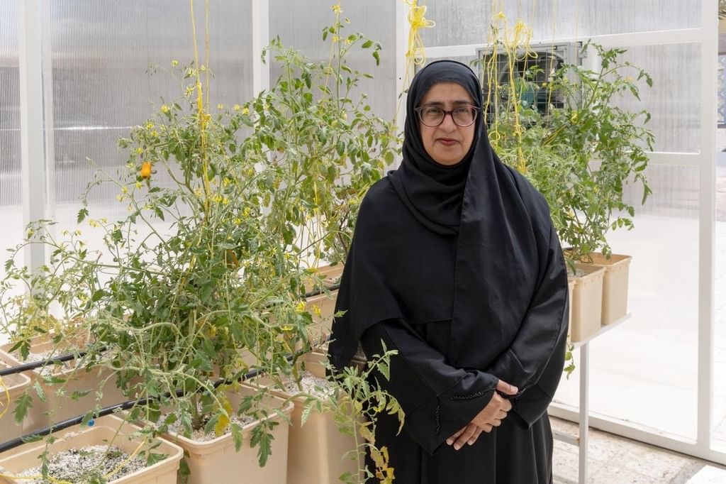 "سيدات أعمال عجمان” يدعم مشاريع الزراعة المنزلية