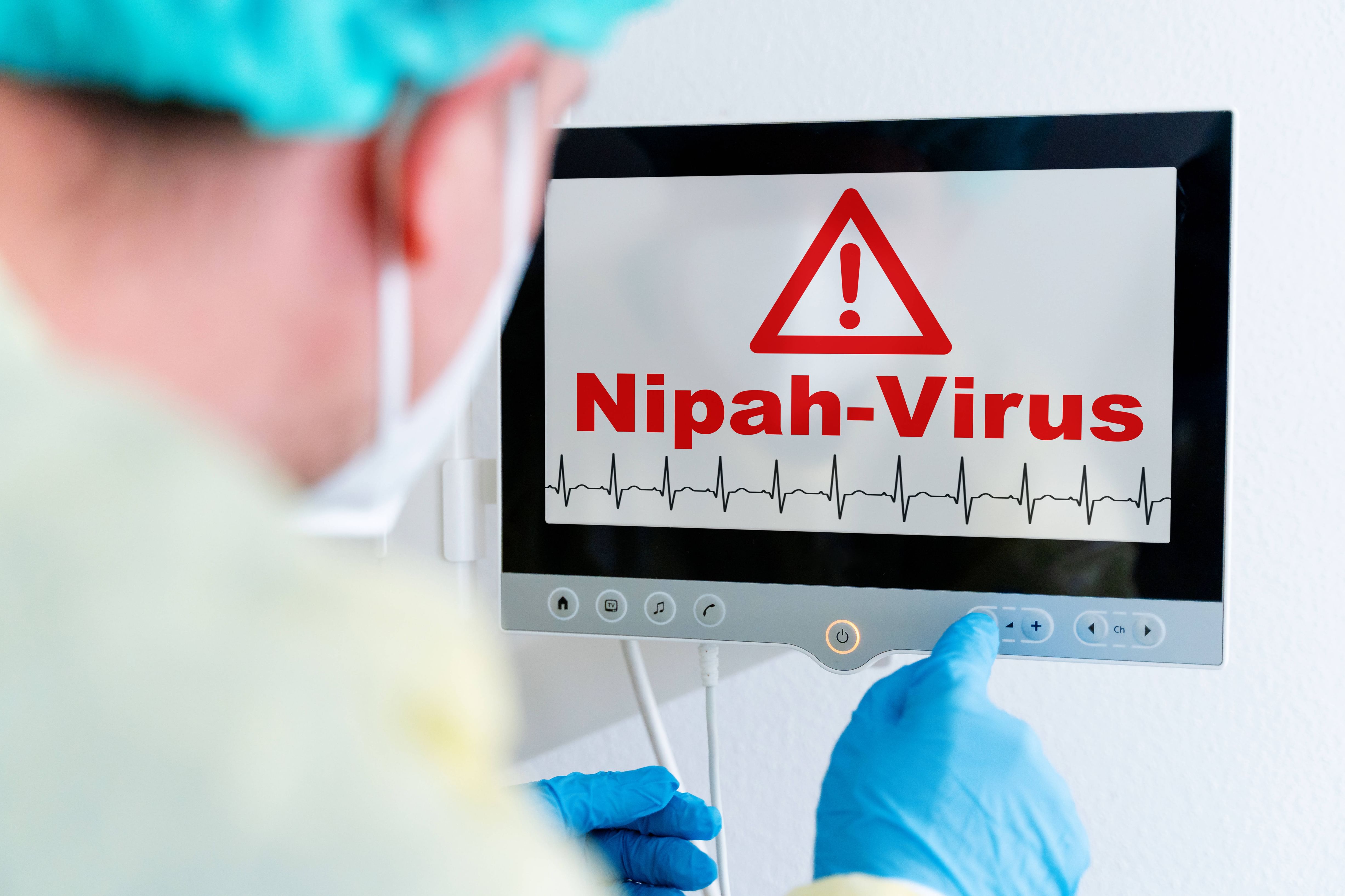 سنغافورة تعزز إجراءات الفحص الصحي بمطار تشانغي بعد تفشي فيروس نيباه في الهند