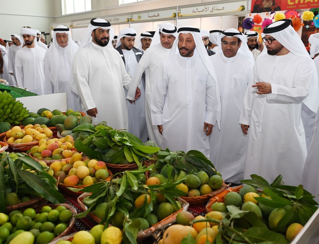 انطلاق مهرجان "خورفكان للمانجو 2026"