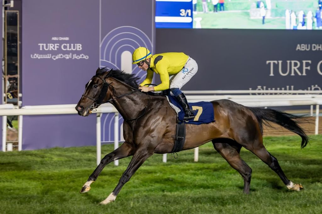 "مضمار أبوظبي" للسباق يتوج الفائزين في السباق العاشر للخيول