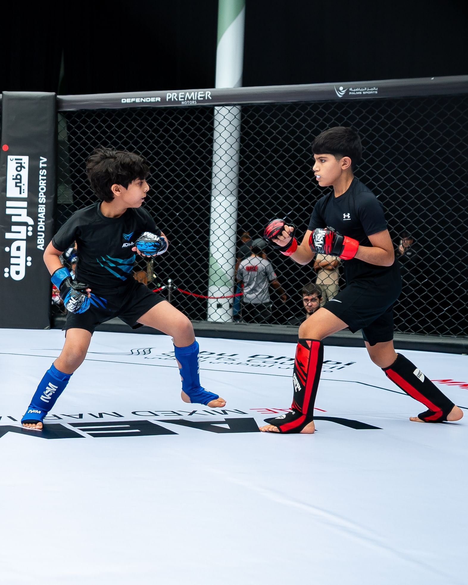 النسخة الـ7 من بطولة الإمارات الوطنية للفنون القتالية المختلطة تنطلق 7 فبراير