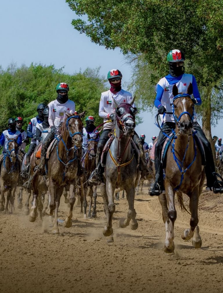 نادي دبي للفروسية: أكثر من 4 آلاف جواد شاركت في سباقات الموسم الحالي