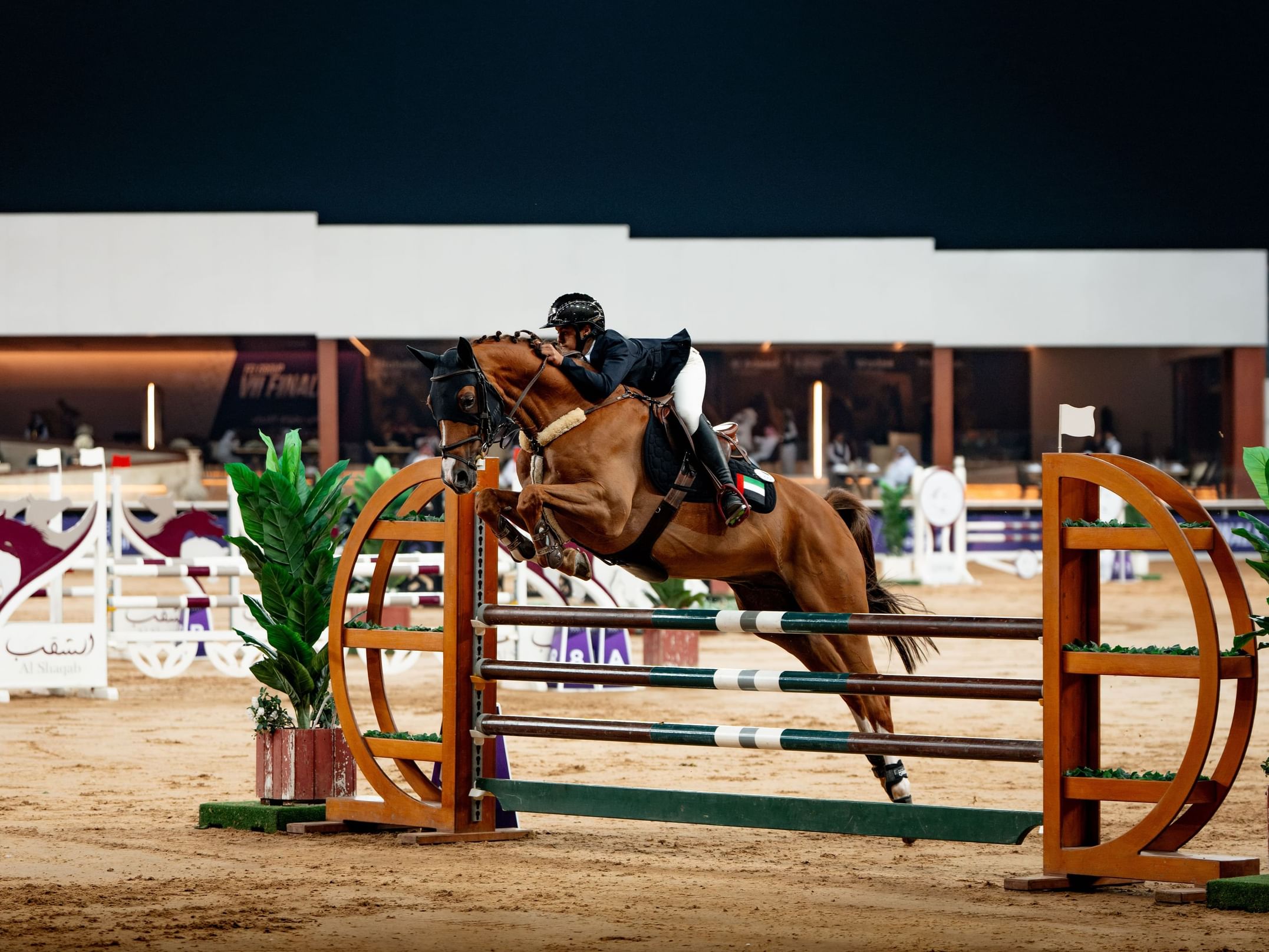 "اتحاد الفروسية"يكشف تفاصيل منافسات قفز الحواجز بدوري لونجين بأكاديمية بوذيب