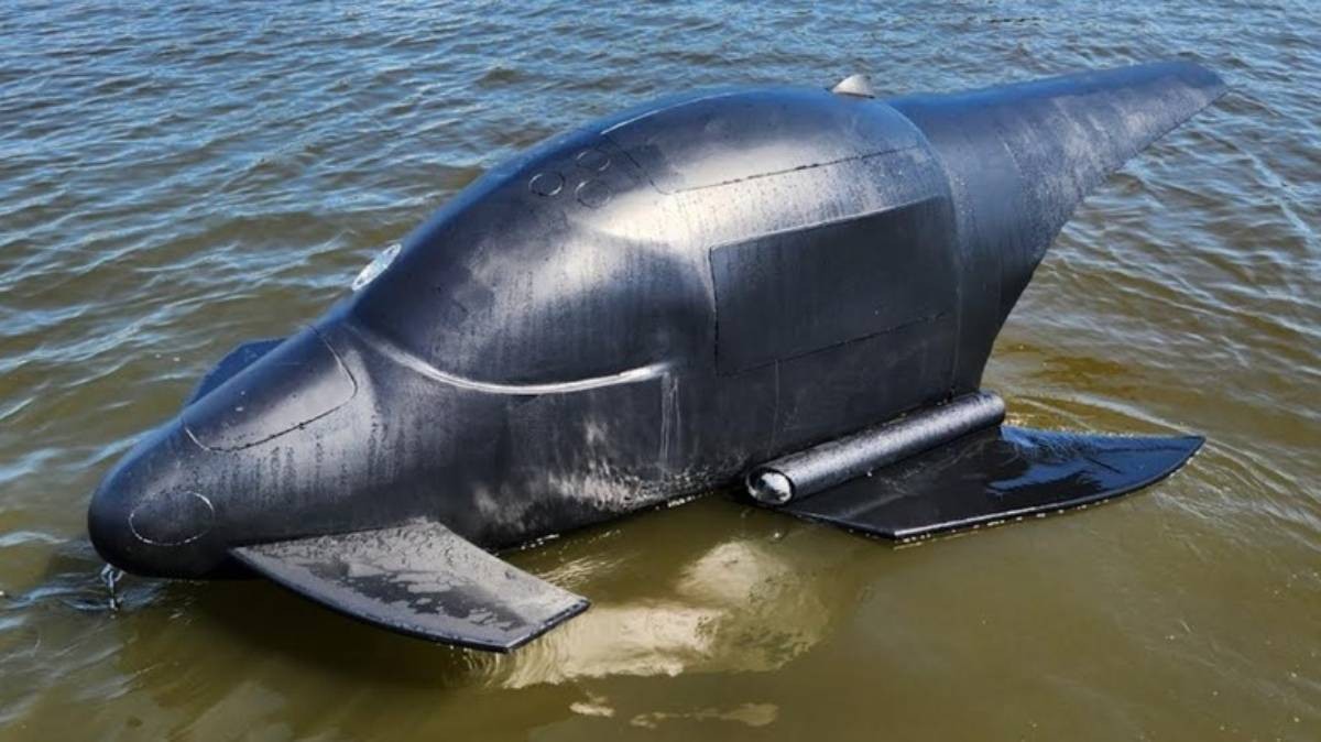 وحش البحار الخفي ..  طائرة الحوت الأكثر فتكاً في المعارك البحرية