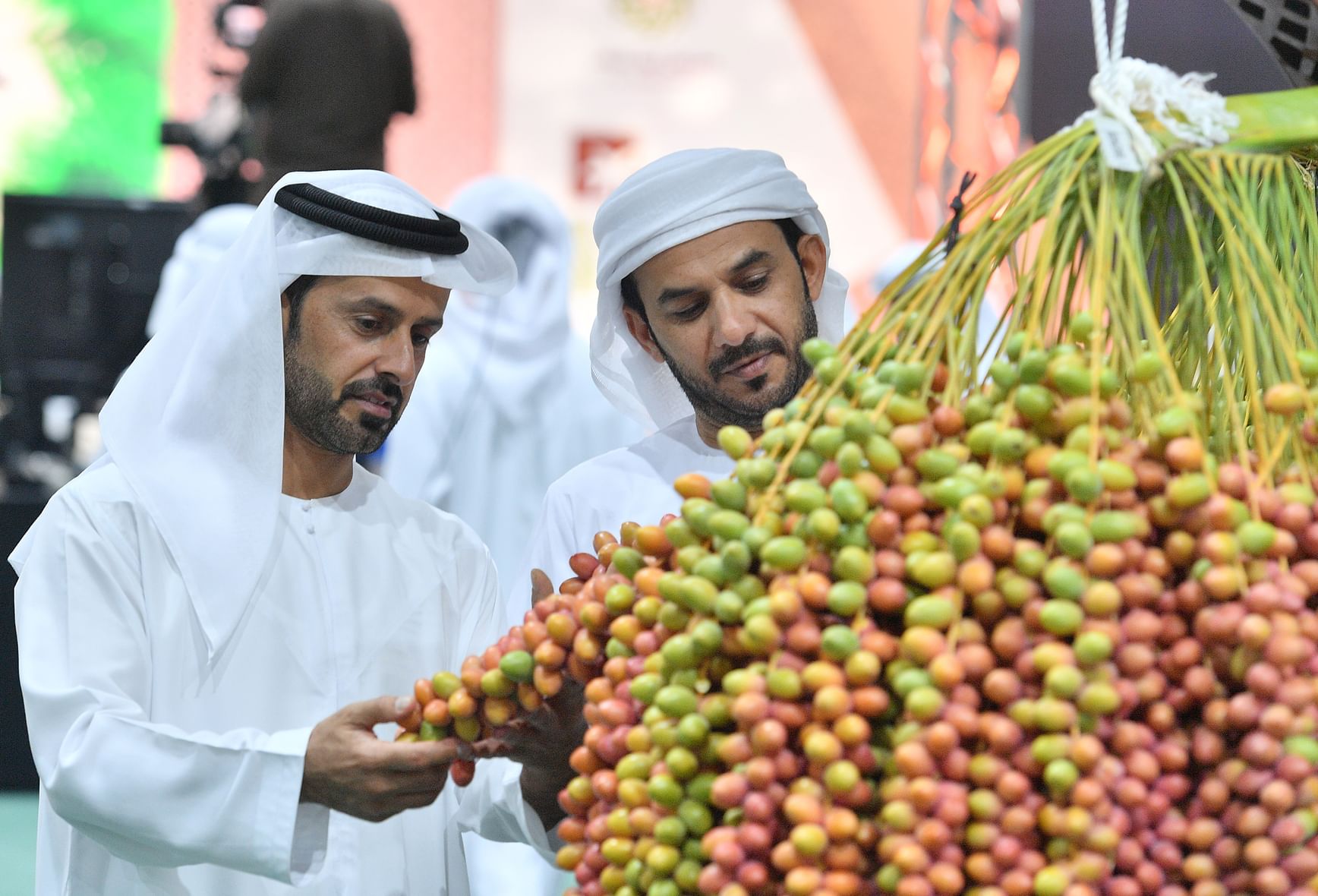 برعاية منصور بن زايد  ..  الدورة الـ21 لمهرجان ليوا للرطب تنطلق 14 يوليو