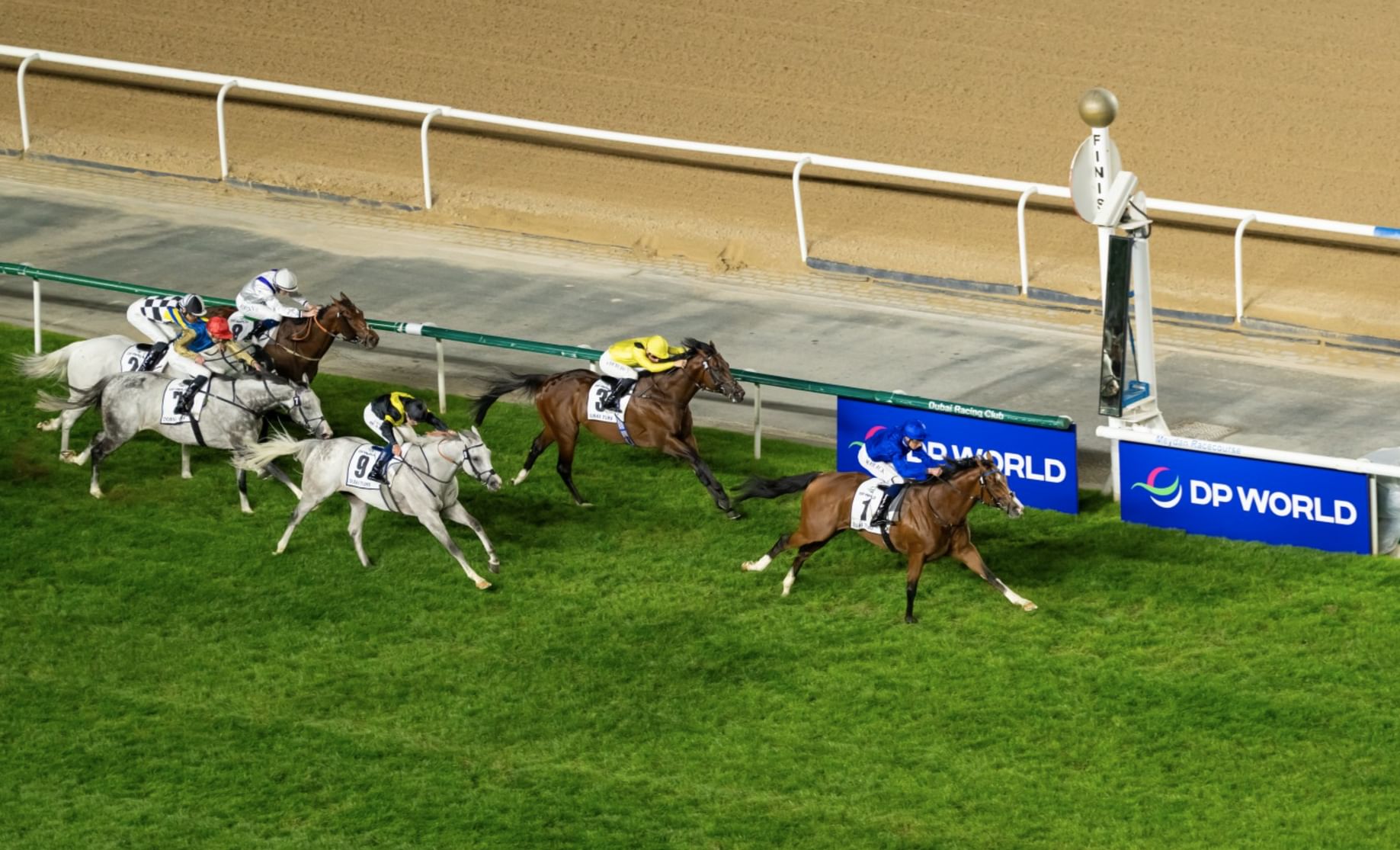 سكاي ريسينغ يشارك في كأس الملكة إليزابيث بالجواد “أندرياس فيزاليوس”