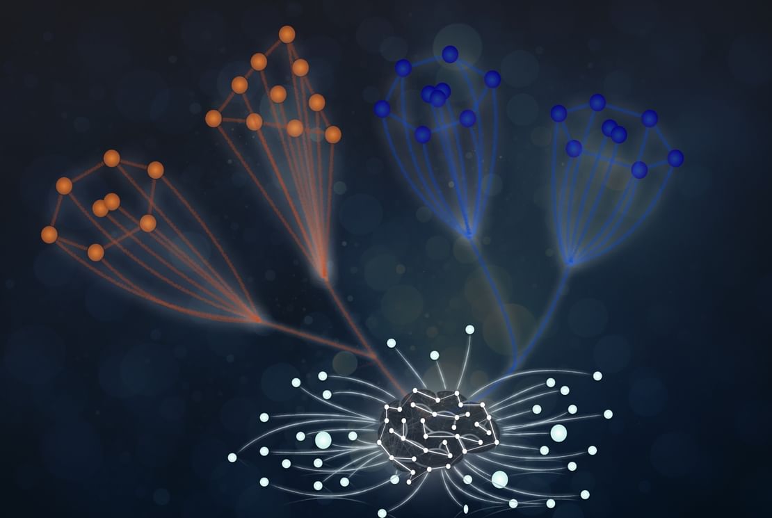 "نيويورك أبوظبي" تنجز دراسة بحثية حول الذكاء الاصطناعي وعلم فيزياء الجزيئات