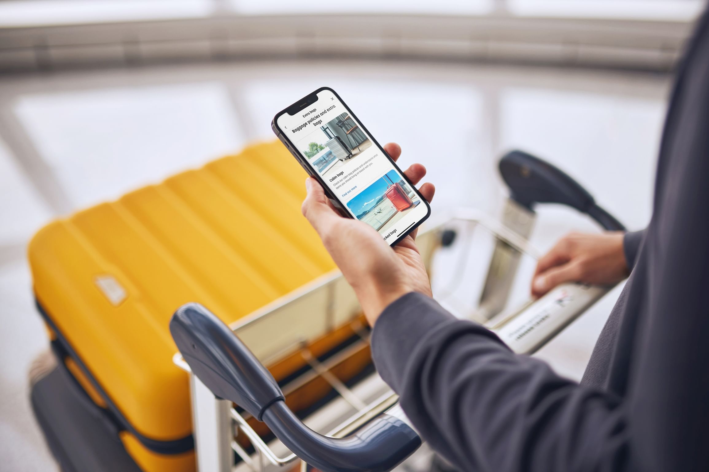 الاتحاد للطيران تستعد لموسم سفر قياسي في ديسمبر