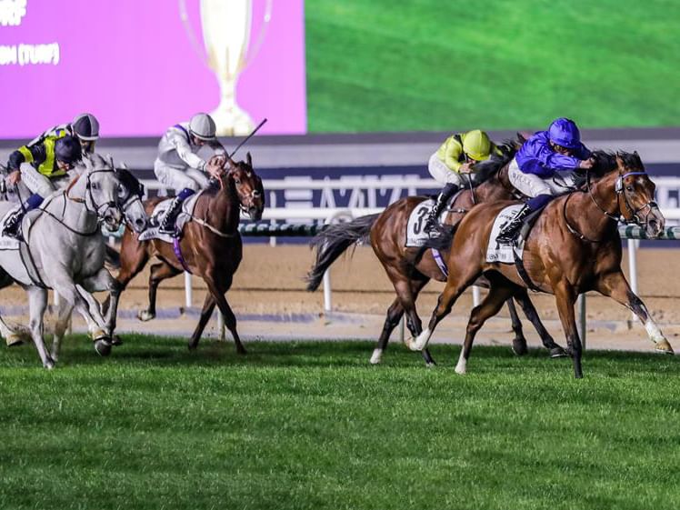 "جودلفين" تواصل الهيمنة على "دبي تيرف" في كأس دبي العالمي