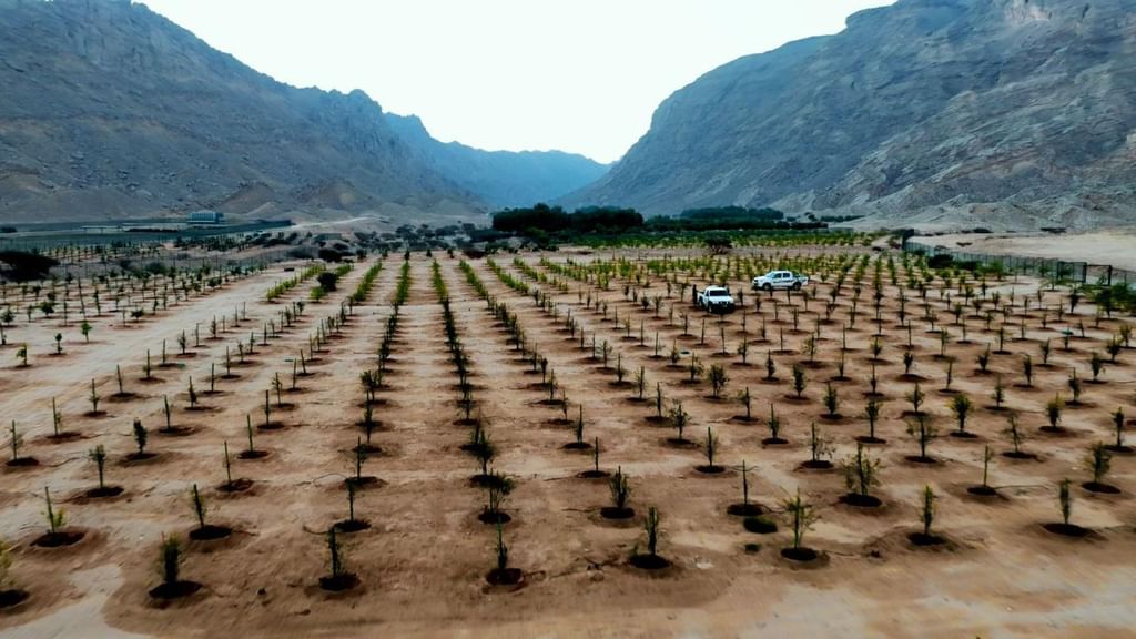 بلدية مدينة العين تستعرض مشاريعها الرائدة خلال المؤتمر والمعرض الزراعي الإماراتي 2026