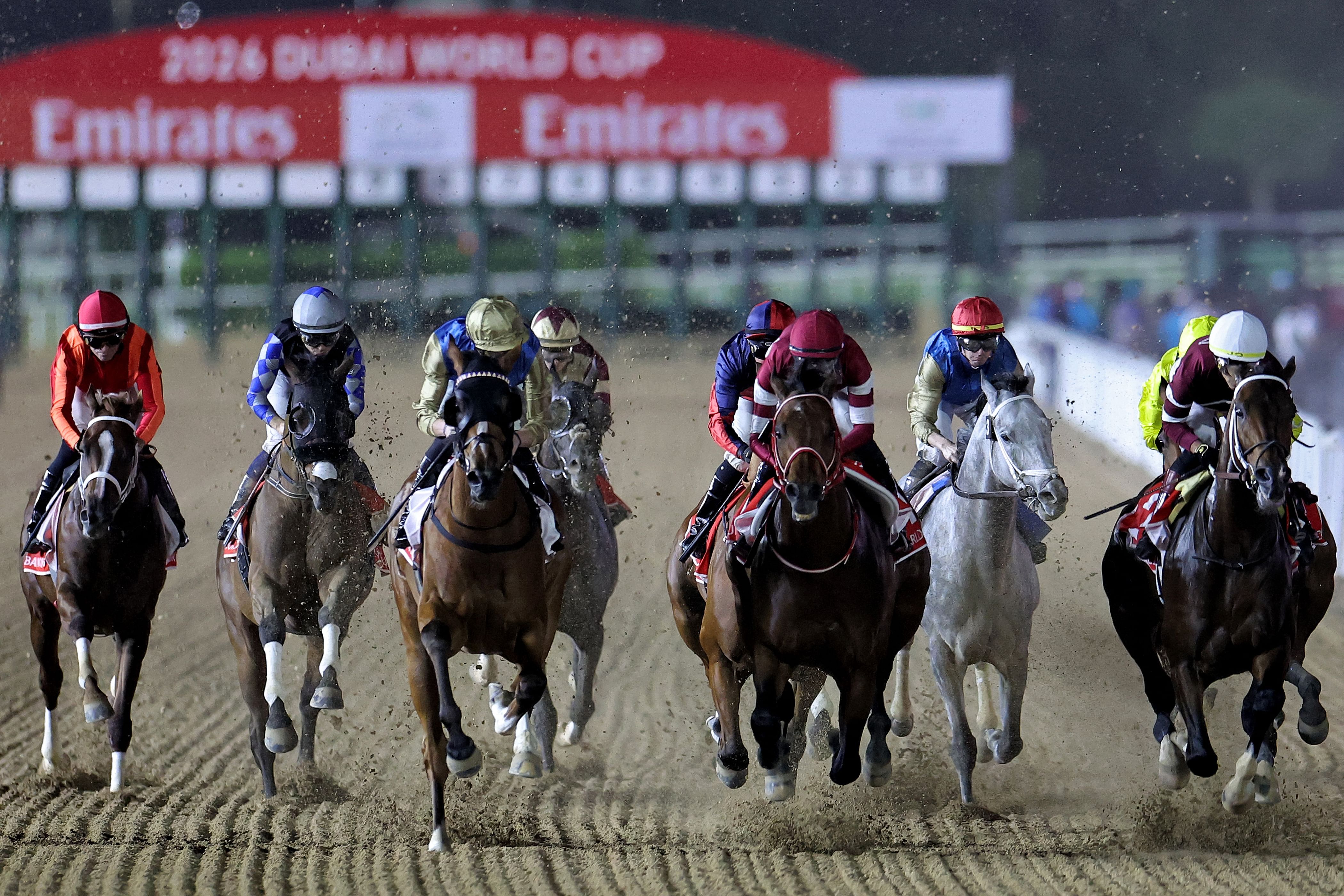 كأس دبي العالمي ..  أرقام قياسية تعزز ريادة الإمارات لسباقات الخيل العالمية