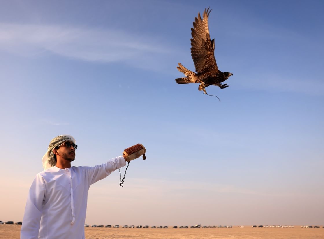 اختتام مسابقة مهرجان السلع البحري للصيد بالصقور