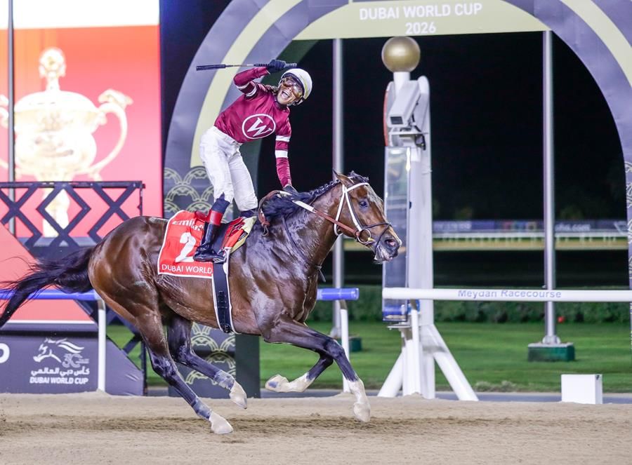 من "سيجار" إلى "ماجنيتيود"/ النسخة الـ30 لكأس دبي العالمي تشهد مفاجأة كبرى