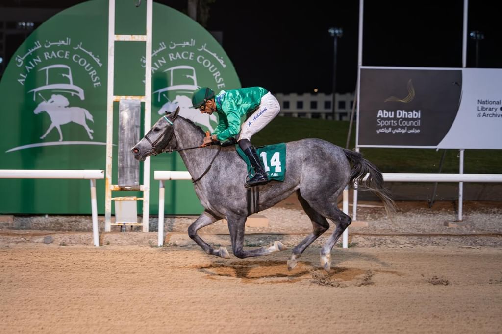 150 خيلاً تتنافس غداً في ختام موسم مضمار العين للفروسية