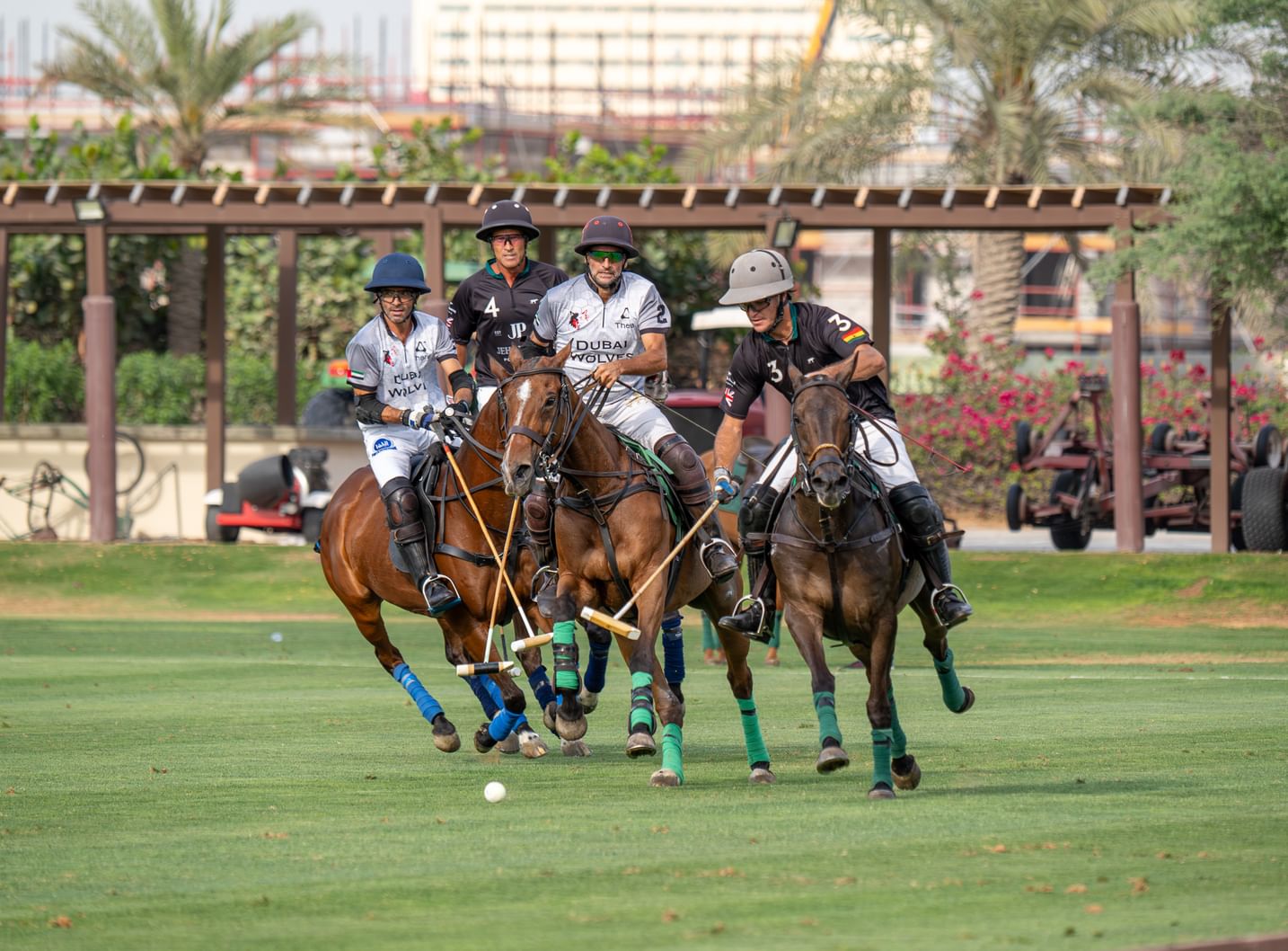 انطلاق منافسات النسخة الـ9 من كأس دبي للتحدي للبولو 2026