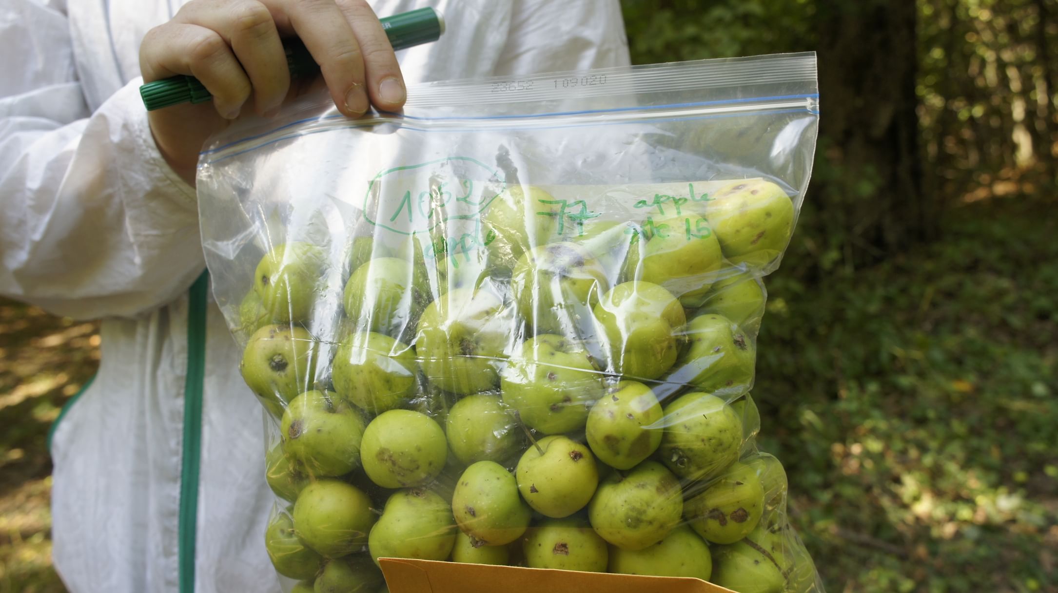 "نيويورك أبوظبي" تنجز دراسة بحثية حول تطوير محاصيل زراعية مستدامة