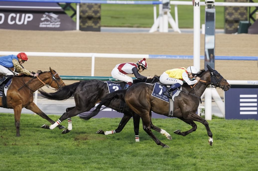 اتحاد الفروسية: كأس دبي العالمي حقق نجاحا كبيرا في أمسية استثنائية