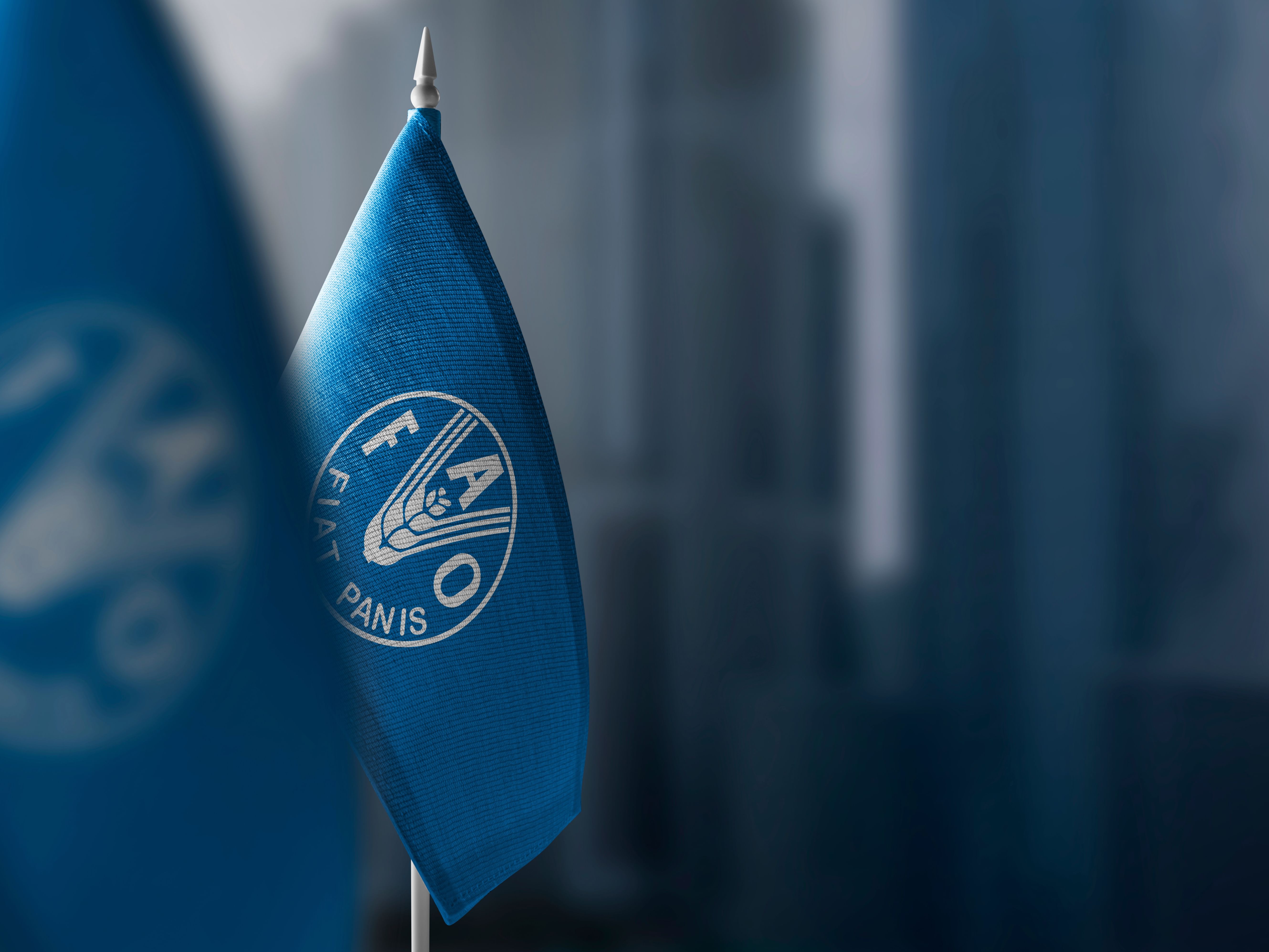 "فاو" : تراجع مستويات الجوع عالمياً للعام الثالث على التوالي
