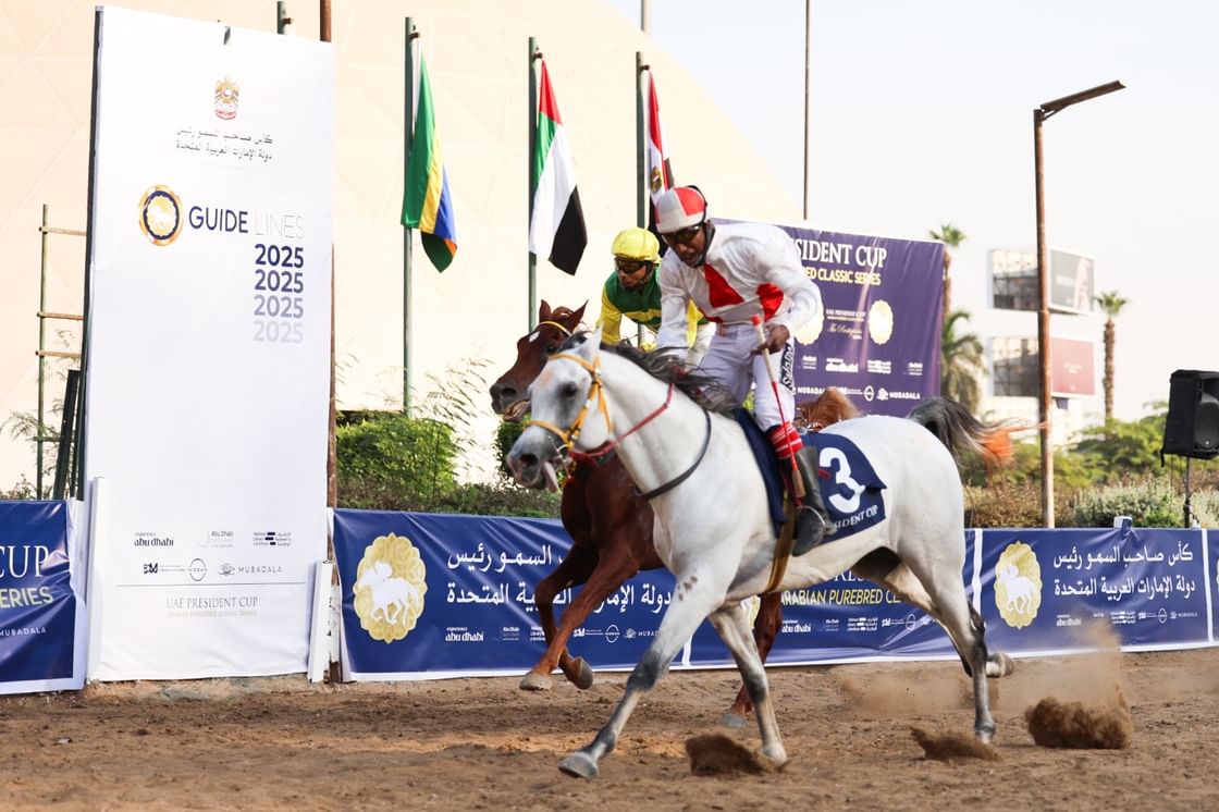 الجواد "فهد الأمين" يفوز بلقب كأس رئيس الدولة للخيول العربية في مصر