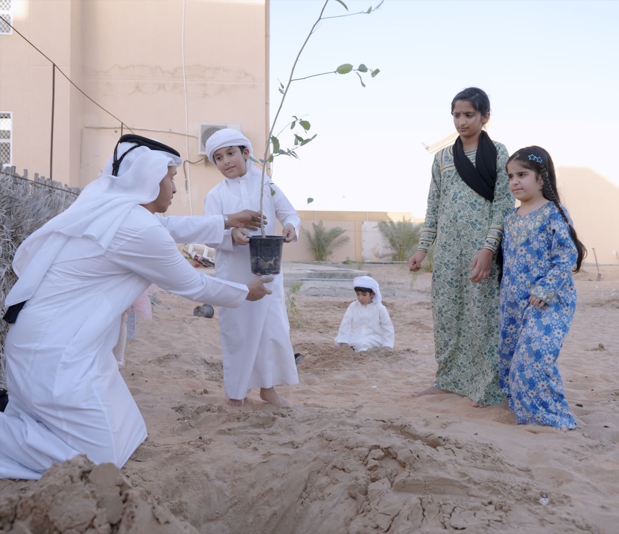 توزيع وزراعة 100 ألف شتلة بمنطقة الظفرة لتعزيز الاستدامة البيئية