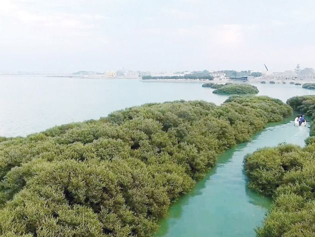 مملكة البحرين تواصل إنجازاتها في العمل البيئي والمناخي وتوسّع مشاريع الطاقة المتجددة وحماية البيئة
